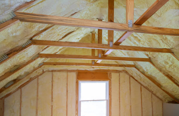 Best Spray Foam Insulation in Allendale, MI