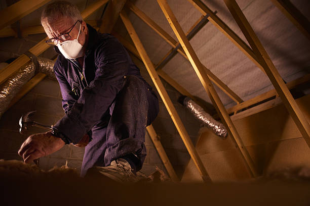 Best Energy Efficiency Insulation in Allendale, MI