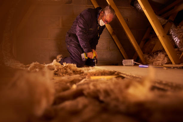Best Insulation Maintenance and Repair in Allendale, MI